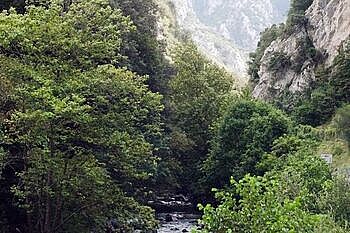 offer1 Surf camp Espagne Cantabria