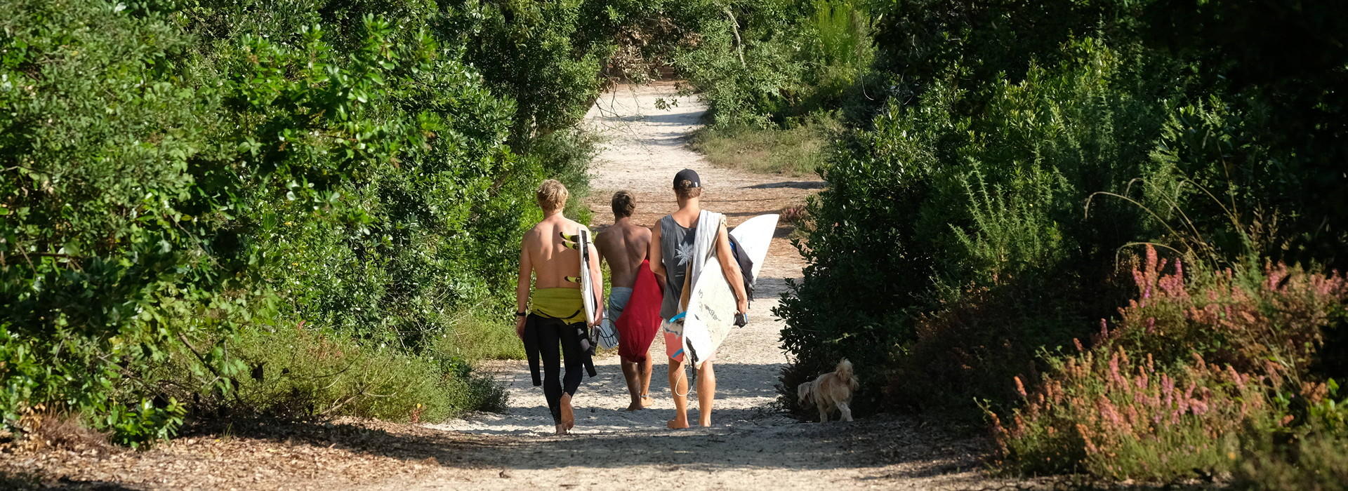Surf Camp France en été