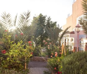 Jardin de la Surf House